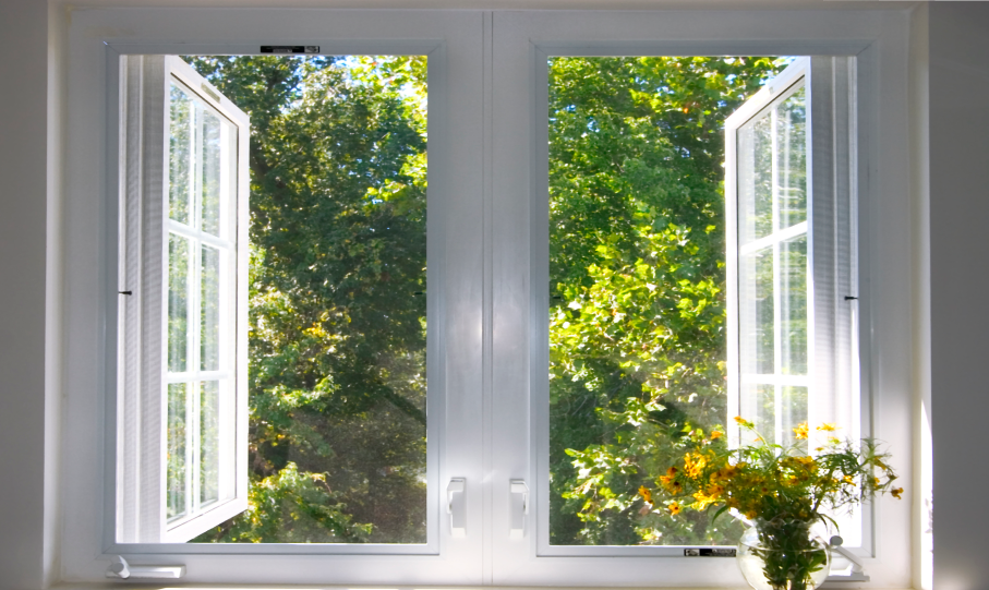 Best rated windows by