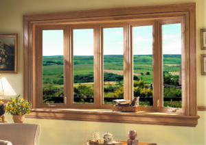 zen windows